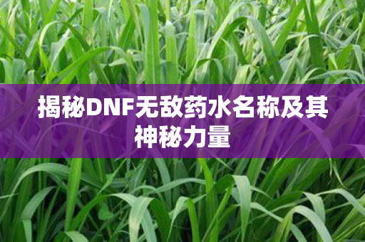揭秘DNF无敌药水名称及其神秘力量图片