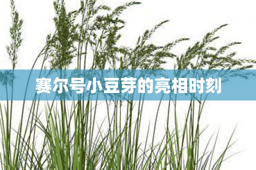 赛尔号小豆芽的亮相时刻图片