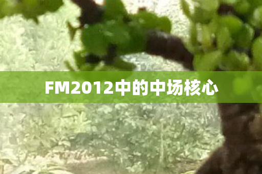 FM2012中的中场核心图片
