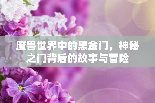 神秘之门背后的故事与冒险图片