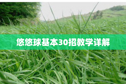 悠悠球基本30招教学详解图片