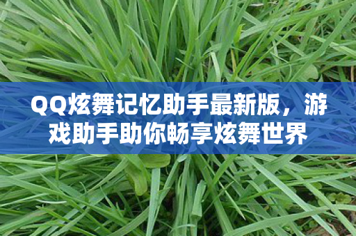 游戏助手助你畅享炫舞世界图片