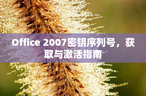 Office 2007密钥序列号图片