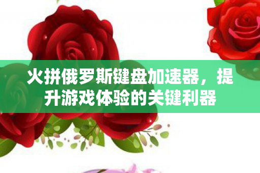 提升游戏体验的关键利器图片