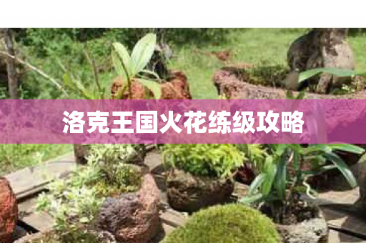 洛克王国火花练级攻略图片
