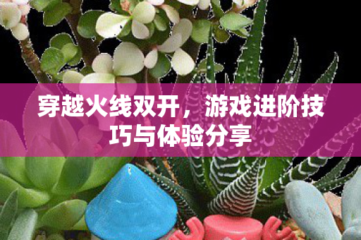 游戏进阶技巧与体验分享图片
