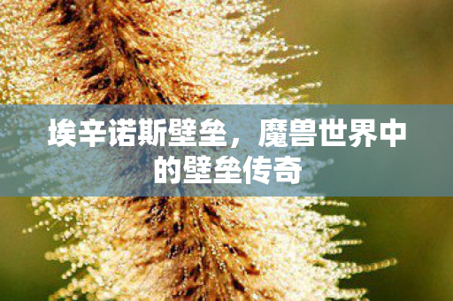 魔兽世界中的壁垒传奇图片