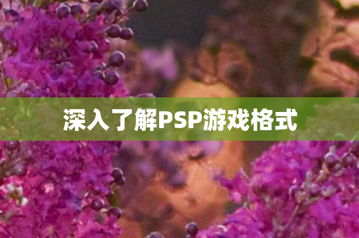 深入了解PSP游戏格式图片