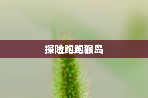 探险跑跑猴岛图片