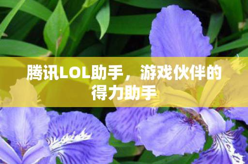 游戏伙伴的得力助手图片