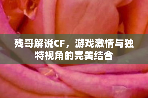 游戏激情与独特视角的完美结合图片