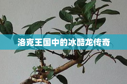 洛克王国中的冰酷龙传奇图片