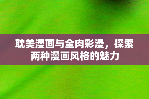 探索两种漫画风格的魅力图片
