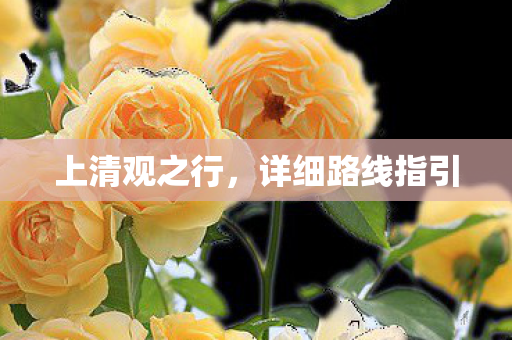 详细路线指引图片