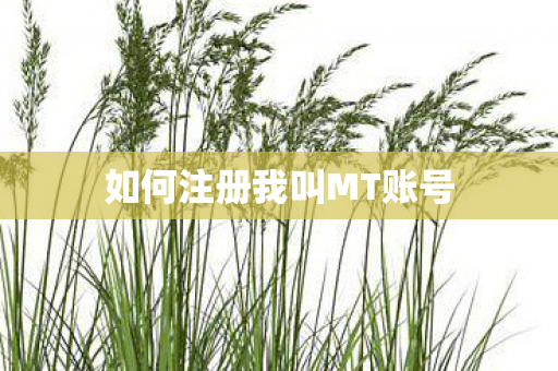 如何注册我叫MT账号图片