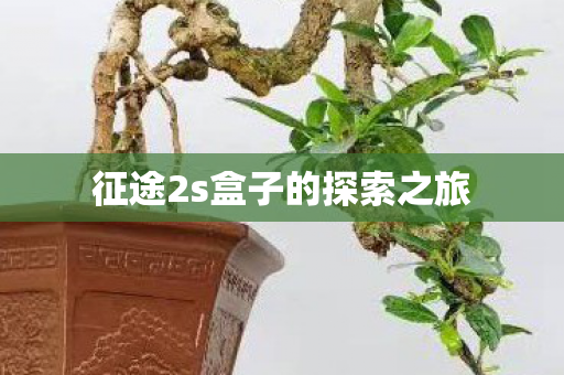 征途2s盒子的探索之旅图片