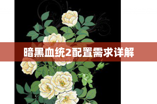 暗黑血统2配置需求详解图片
