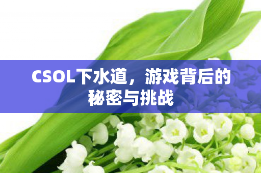 游戏背后的秘密与挑战图片
