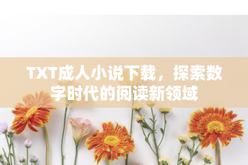 探索数字时代的阅读新领域图片