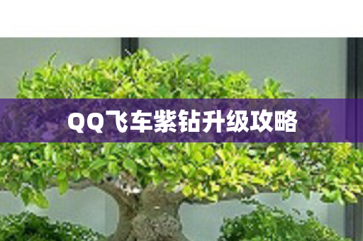 QQ飞车紫钻升级攻略图片