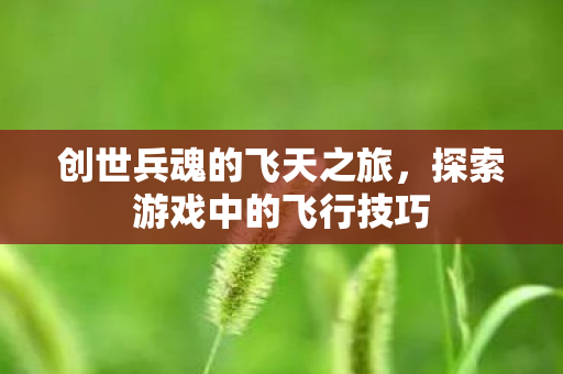 探索游戏中的飞行技巧图片
