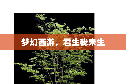 君生我未生图片