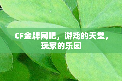 CF金牌网吧图片