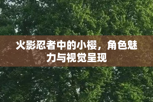 角色魅力与视觉呈现图片