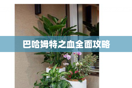 巴哈姆特之血全面攻略图片