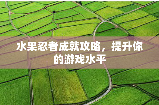 水果忍者成就攻略图片