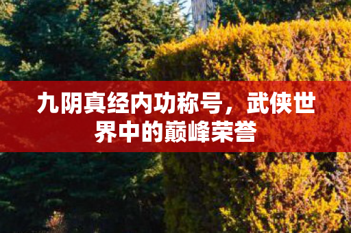 武侠世界中的巅峰荣誉图片