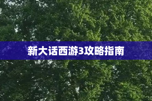 新大话西游3攻略指南图片