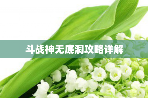 斗战神无底洞攻略详解图片
