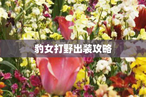 豹女打野出装攻略图片