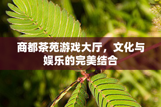文化与娱乐的完美结合图片