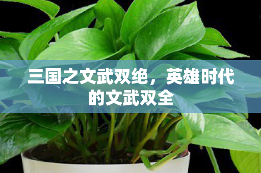 英雄时代的文武双全图片