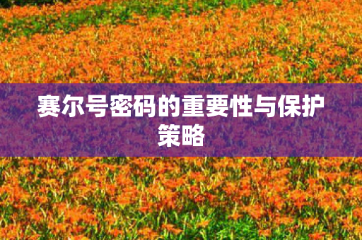 赛尔号密码的重要性与保护策略图片