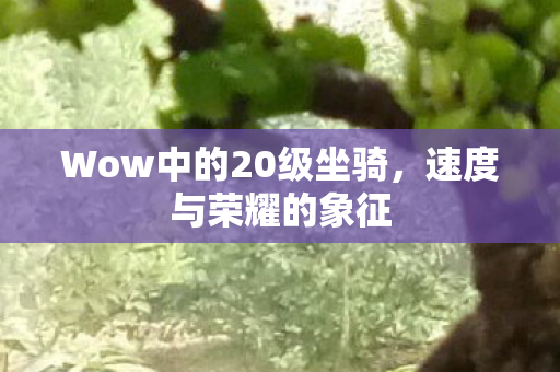 Wow中的20级坐骑图片