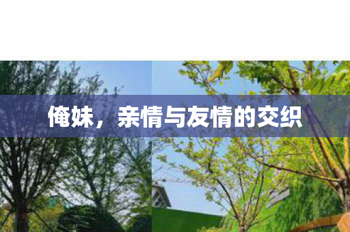 亲情与友情的交织图片