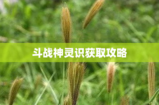 斗战神灵识获取攻略图片
