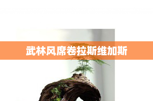 武林风席卷拉斯维加斯图片