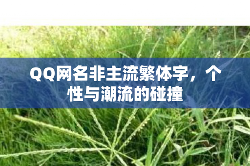 QQ网名非主流繁体字图片