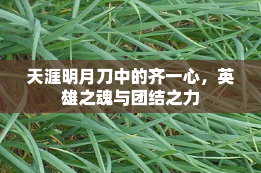 天涯明月刀中的齐一心图片