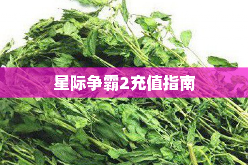 星际争霸2充值指南图片