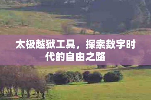 探索数字时代的自由之路图片