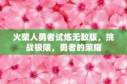 火柴人勇者试炼无敌版图片