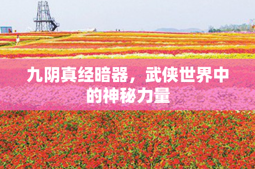 武侠世界中的神秘力量图片