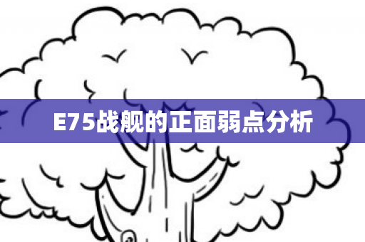 E75战舰的正面弱点分析图片