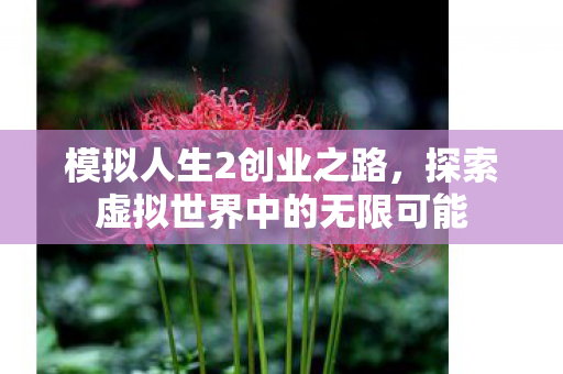 探索虚拟世界中的无限可能图片