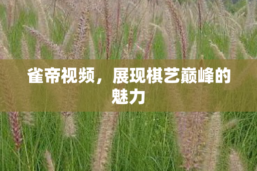 展现棋艺巅峰的魅力图片